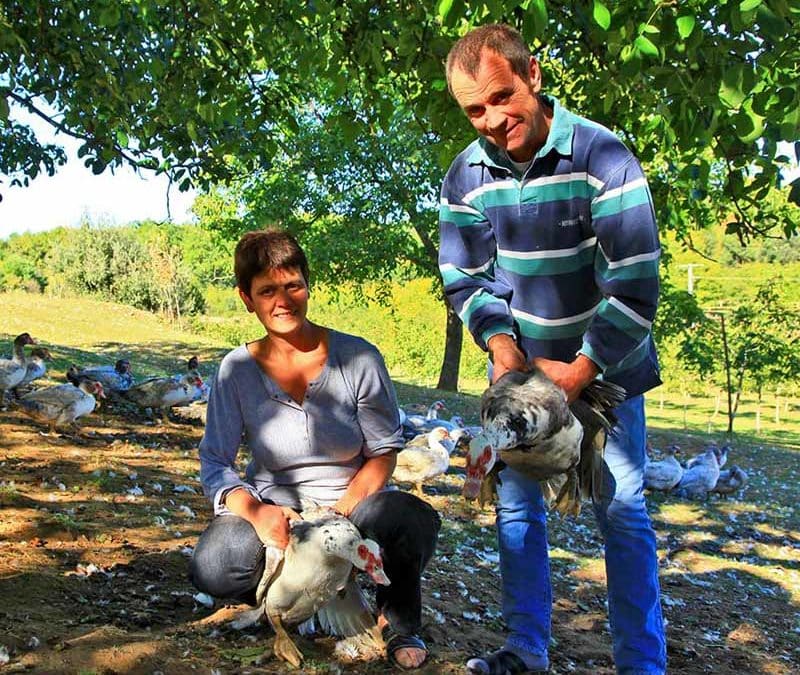 La ferme des Roumevies