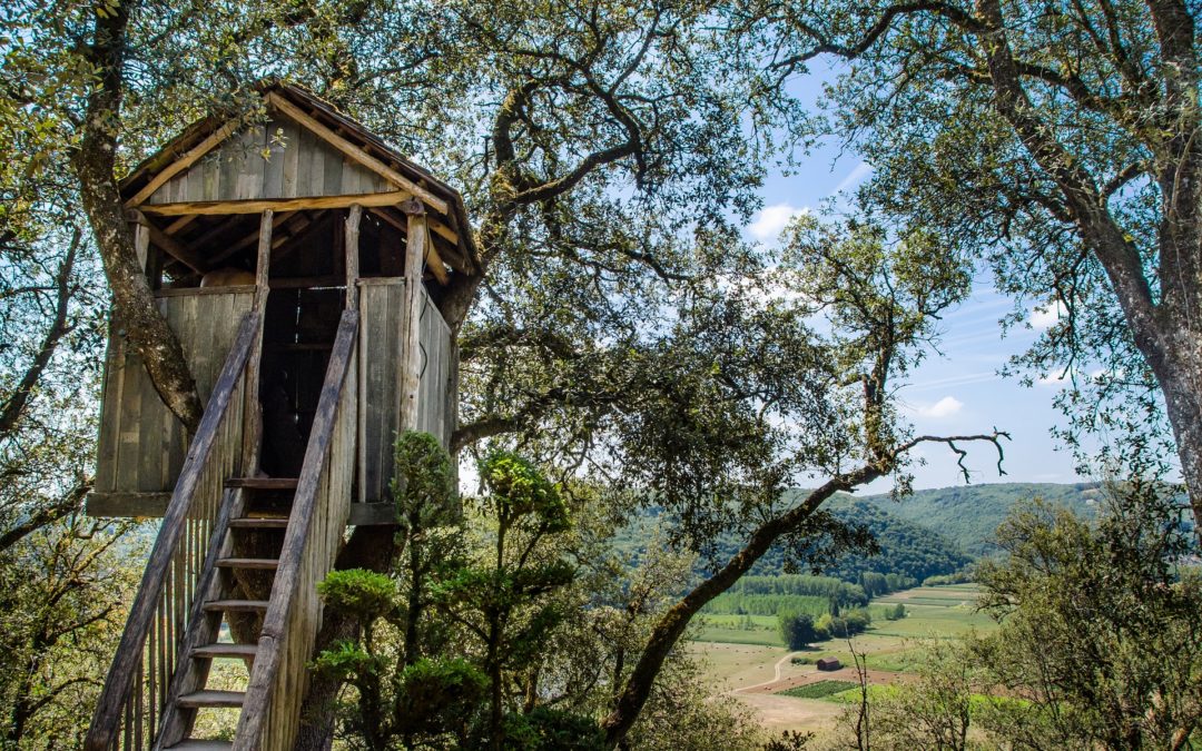 Reconnecter ses enfants avec la nature